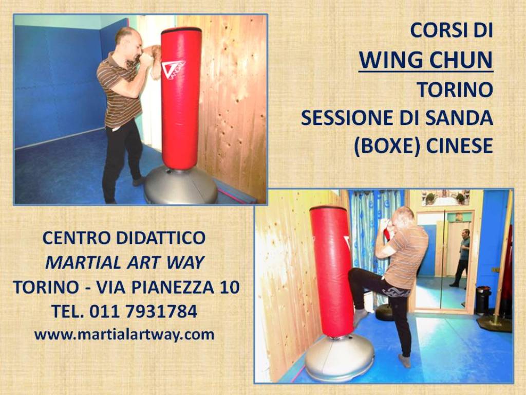 Diapositiva6